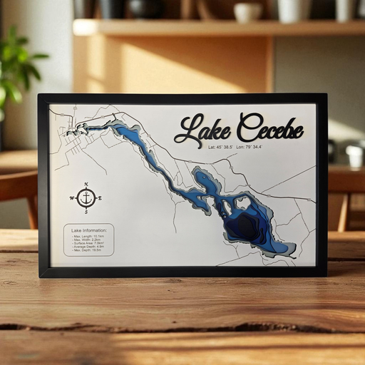 Lake Cecebe Bathymetric Portrait
